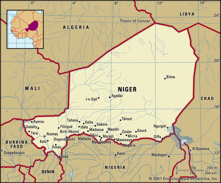 Niger court blocks opposition presidential candidate from poll