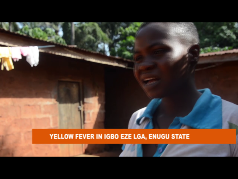 SIGNATURETV SPECIAL REPORT: YELLOW FEVER IN IGBO EZE LGA, ENUGU STATE