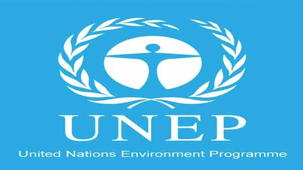 Nigeria, third highest destination of used cars from U.S. – UNEP