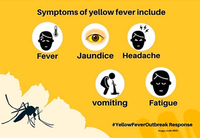 Yellow fever outbreak spreads to three Enugu LGAs
