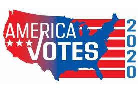 US election: No evidence of lost or changed votes —Officials