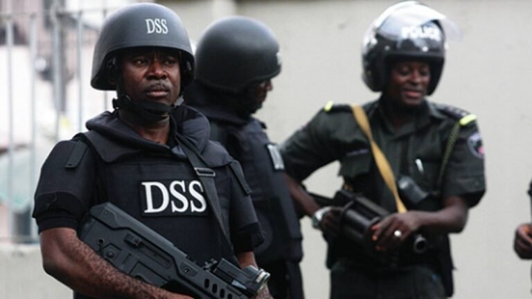 DSS Warns Against Planned Nationwide Protest, Identifies Sponsors