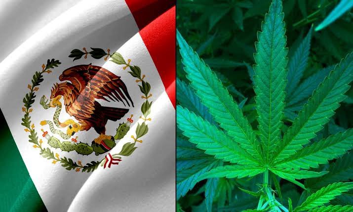 Mexico to legalize marijuana for medicinal use
