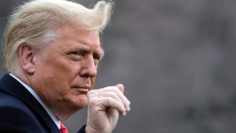 Donald Trump back on Twitter after Elon Musk poll