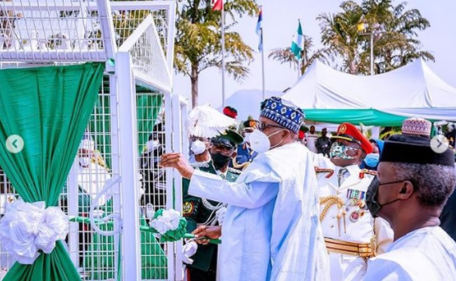 Pigeons released by Buhari refuse to fly at Armed Forces remembrance