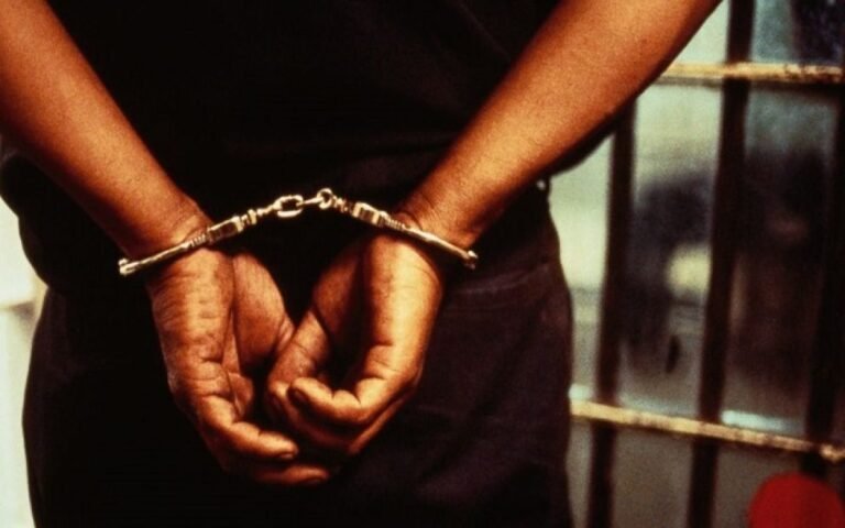 Trader bags 1-year jail term for pirating Bible