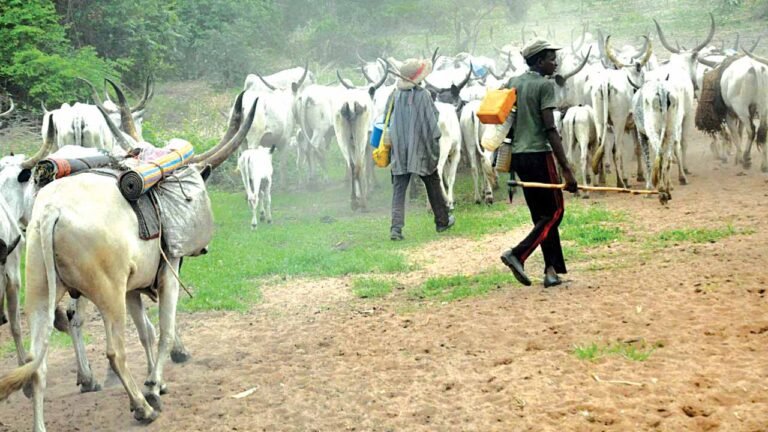 Herdsmen crisis: Fresh fact emerge on alleged murder of Wakili