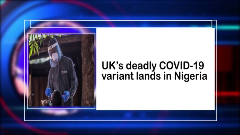 Watch SignaturetTV News Highlights – Governors of South West Agree To Ban Open And Night Grazing