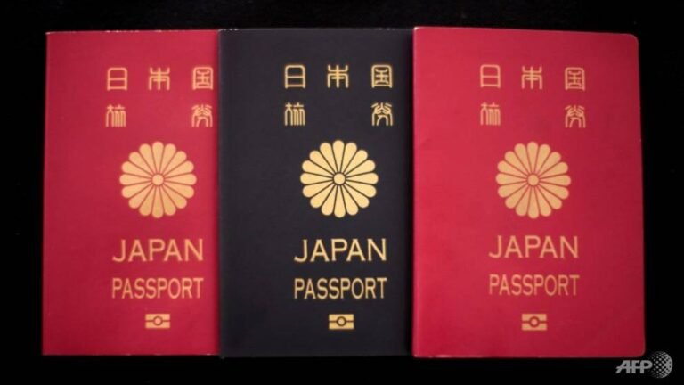 Japan court upholds ban on dual citizenship