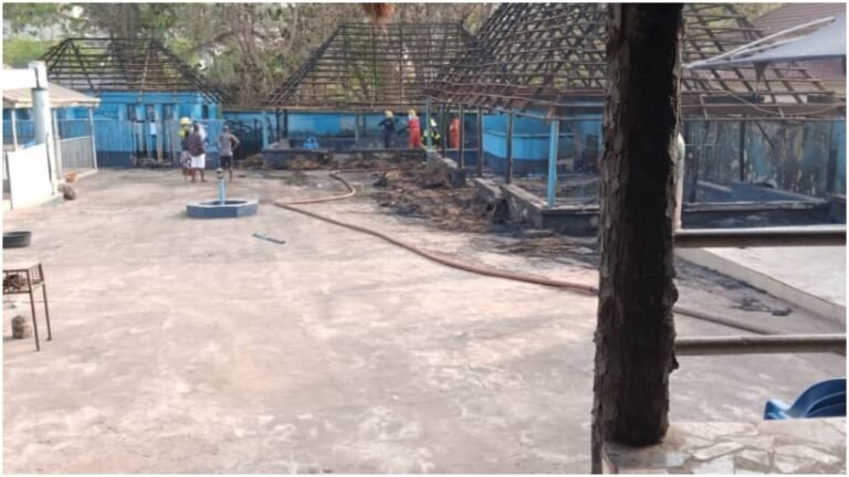 Bush burning: inferno razes multi-million Naira Enugu relaxing spot