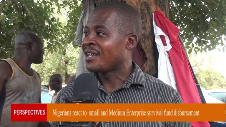 Nigerians speak on Federal Governments Micro, Small and Medium-sized Enterprise intervention fund