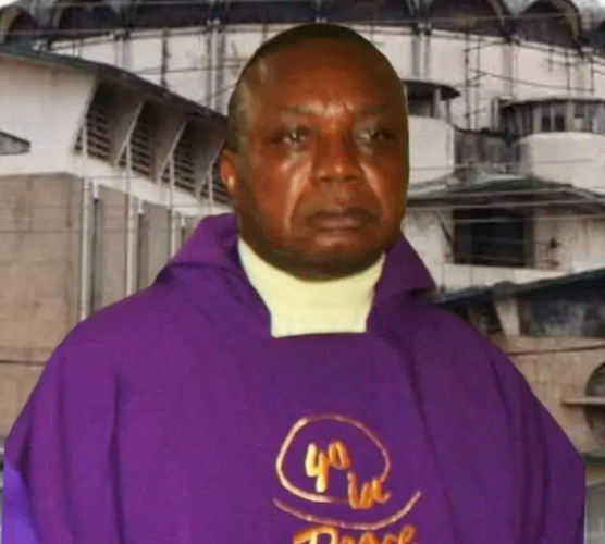 Kidnapped Priest regains freedom in Imo