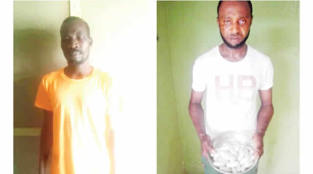 Suspected trans-border drug trafficker, one other arrested with N264m cocaine