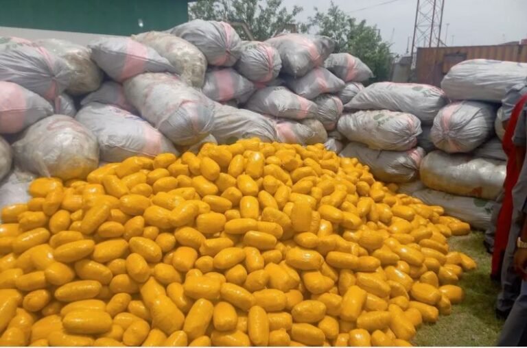 Customs Intercepts N1bn Cannabis