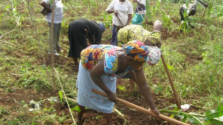 Tension in Taraba as unknown persons hack three farmers to death in their farms