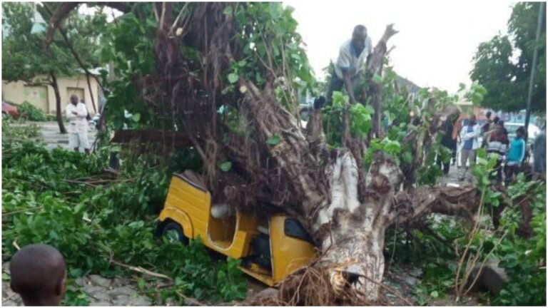 Storm causes havoc in Zamfara as State witnesses first heavy rainfall