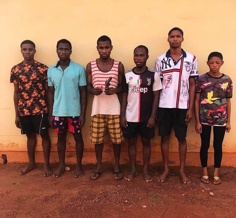 Enugu police arrest eight for robbery, cultism, recover weapons