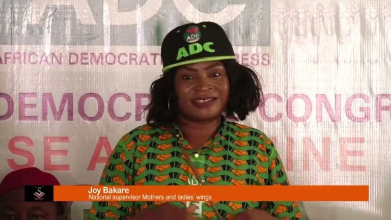 ADC Chairman Blames lack of Foreign Investors on Insecurity in Nigeria [Video]