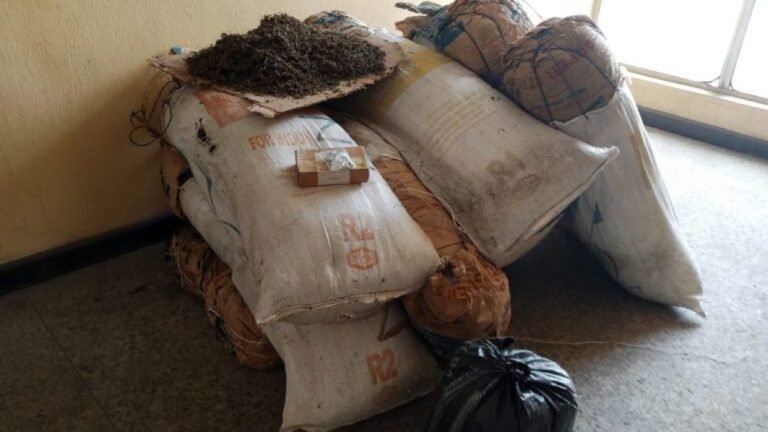 NDLEA seizes 646kg hard drugs, arrests 60 suspects in Imo