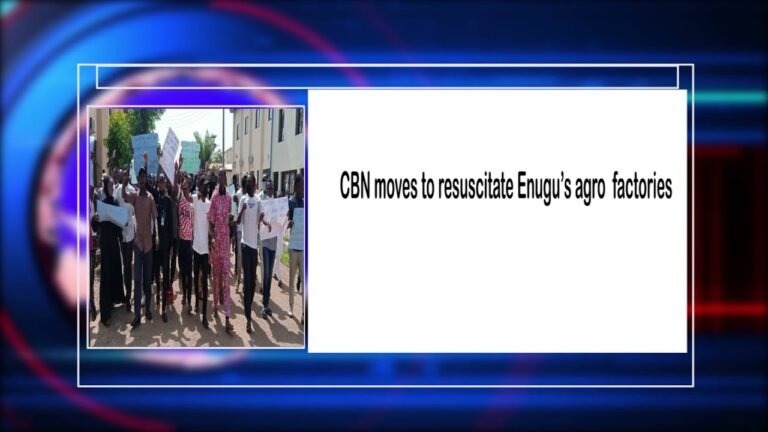 Signature TV News Highlights: CBN moves to resuscitate Enugu’s moribund agro factories