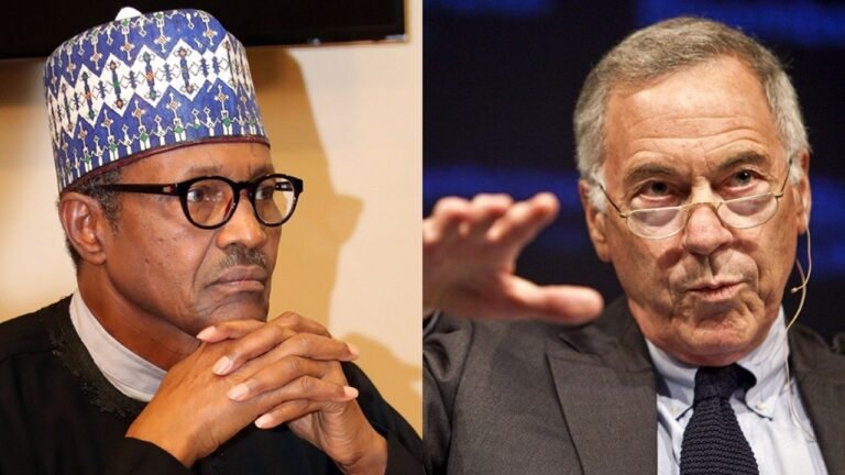 Sleepy Buhari making corruption to run rampant in Nigeria – Steve Hanke