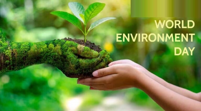 World environment day: Treat your environment the way you treat your sitting room— Prof Owamah