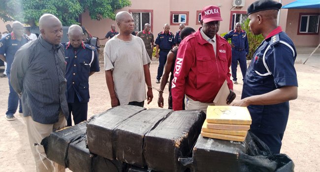 NSCDC Arrest Two Suspects In Possession Of 173 Parcels Of Cannabis Worth Millions