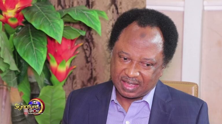 Tax Reform Bill: ‘It’s unjust for only four states to get 70 per cent of VAT’ – Shehu Sani