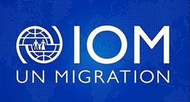 Irregular migration: IOM to strengthen cooperation with Nigeria