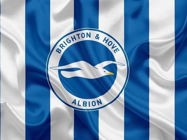 Brighton player arrested on suspicion of sexual assault
