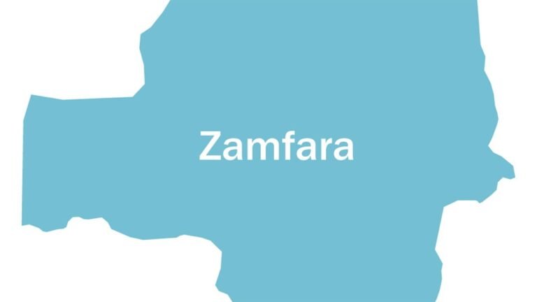 Five-Month-Old Baby, 11 Other Kidnap Victims Rescued In Zamfara