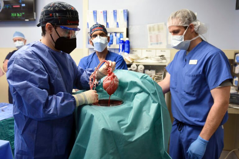 US surgeons transplant pig’s heart into a human, break the world record
