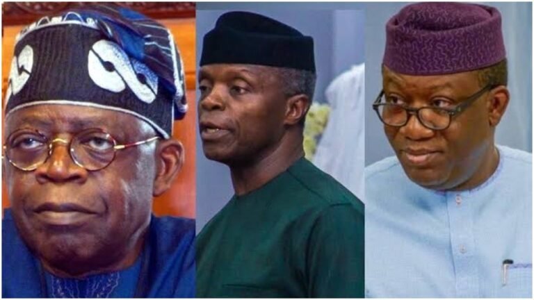2023: OPC disowns Osinbajo, Tinubu, Fayemi