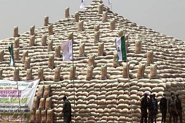FG Suspends Taxes On Maize, Wheat, Rice, Other Staples