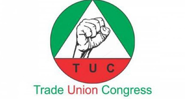 Watch Signature TV News Highlight: TUC Threatens To Join ASUU On Nationwide Strike