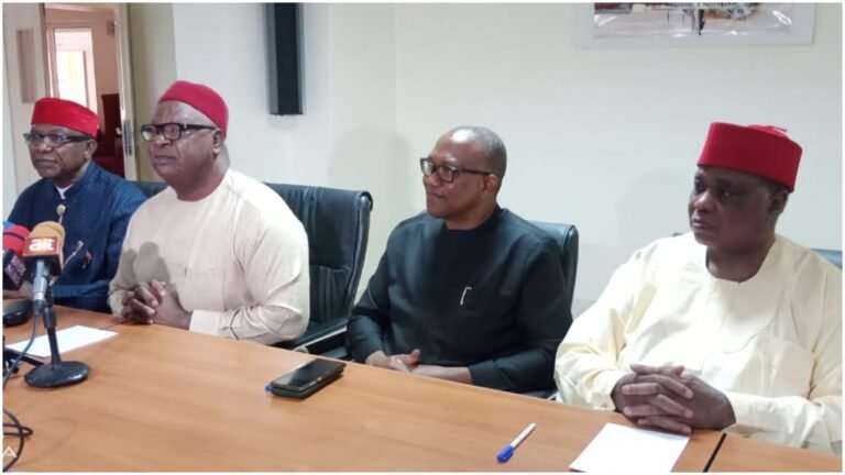 2023 presidency: Peter Obi, Anyim, others form alliance