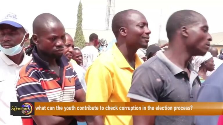 What can the youth contribute to check corruption in the election process?