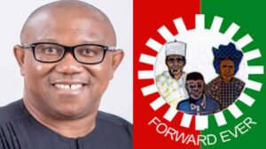 The Man Who Sued Peter Obi Over Academic Records Is Not A Member Of Labour Party -LP