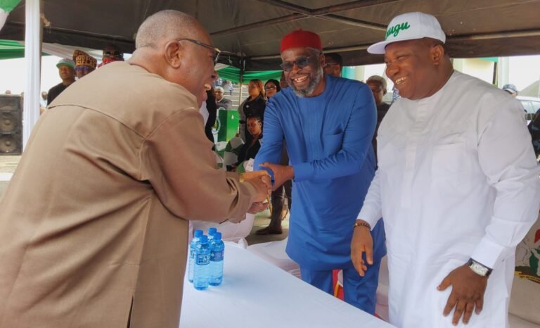 2023: Gov. Ugwuanyi is our leader, PDP our party – Uzo-Uwani leaders