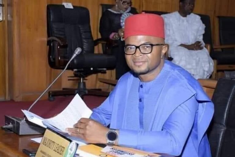 Anambra lawmaker slumps, dies in S’Africa