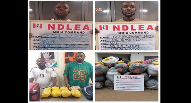 NDLEA Operatives Arrest Lagos Airport Cleaner Who Leads Drug Syndicate