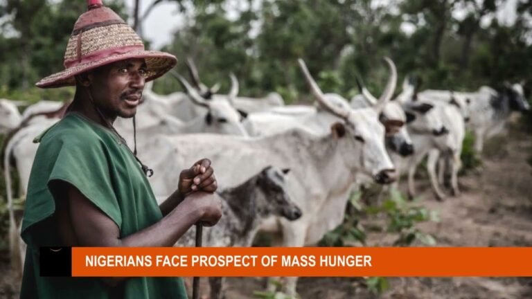 THE SIGNATURE SHOW – 2023 EXPENDITURE FRAMEWORK: IS IT ALL GLOOM AND DOOM