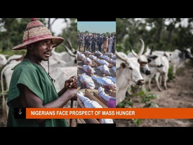 SPECIAL REPORT: NIGERIANS FACE PROSPECT OF MASS HUNGER