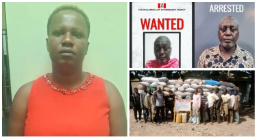 Wanted Drug Baron Arrested As NDLEA Nabs Woman Linked To Pakistani Cocaine Syndicate