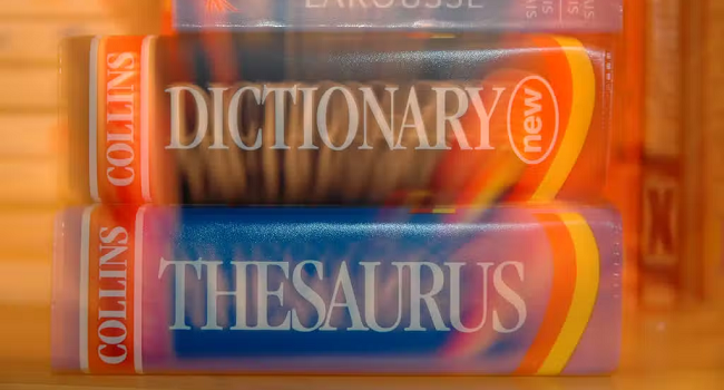 Permacrisis Declared Collins Dictionary Word Of The Year