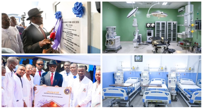 Brain Drain Results From Insecurity, Dearth Of Requisite Equipment – Wike