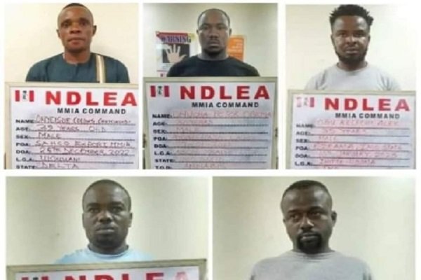 NDLEA busts trans-border cartel, seizes illegal drugs