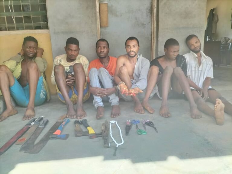 Private university staff, five others arrested for cultism in Ogun, ammunition recovered