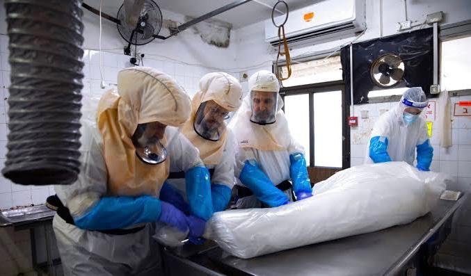 China reports first human death caused by bird flu