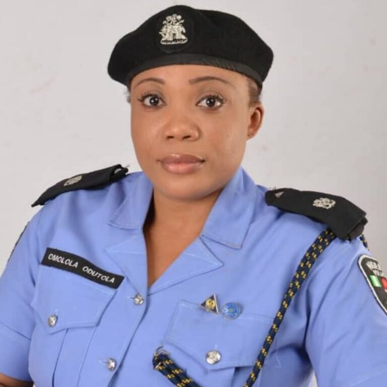 Ogun police get new PRO as Oyeyemi bows out